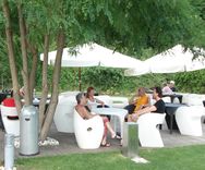 Bar Terre di Venezia